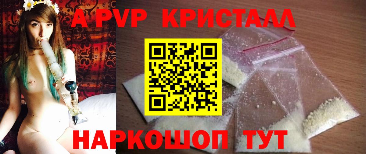 Альфа ПВП СК КРИС Гулькевичи