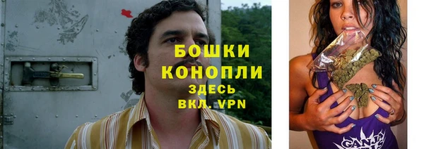 таблы Богородицк
