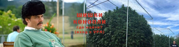 гашик Бежецк