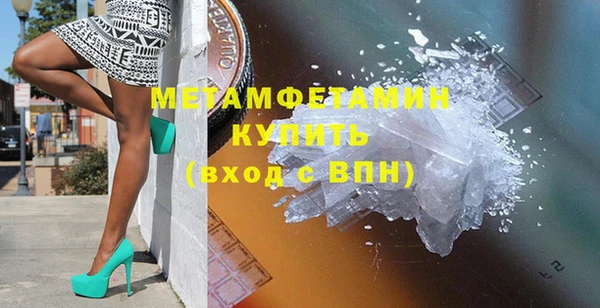 прущие грибы Богородск