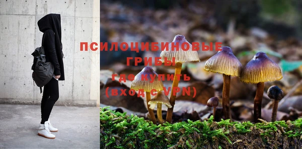 прущие грибы Богородск