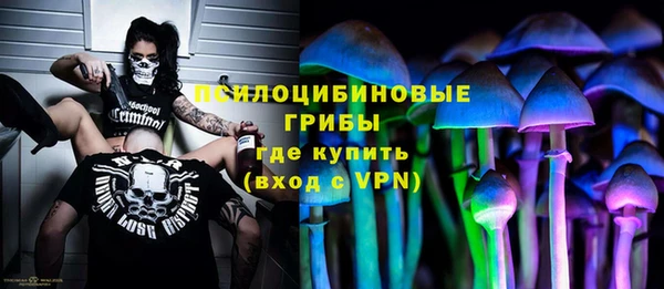 марки nbome Богданович