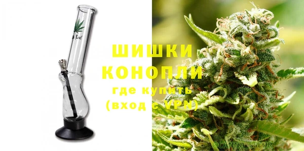 прущие грибы Богородск