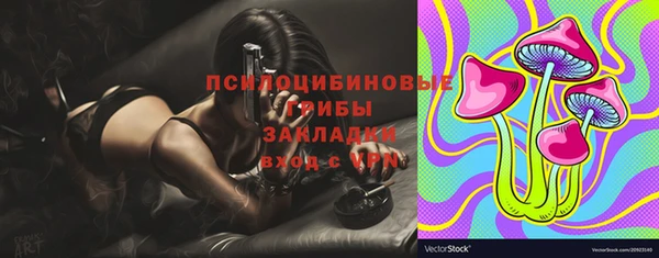 прущие грибы Богородск