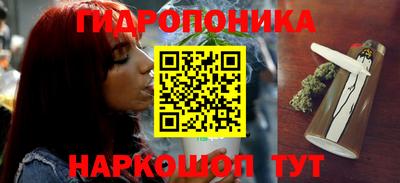 скорость Можга